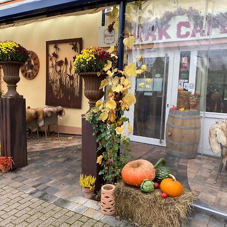 Ferienwohnungen Park Cafe Am Kurpark Bernkastel-Kues Ngoại thất bức ảnh